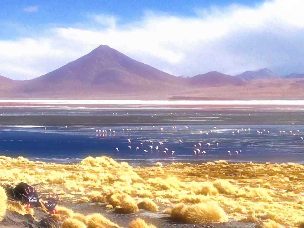 Laguna Colorada, Bolivia