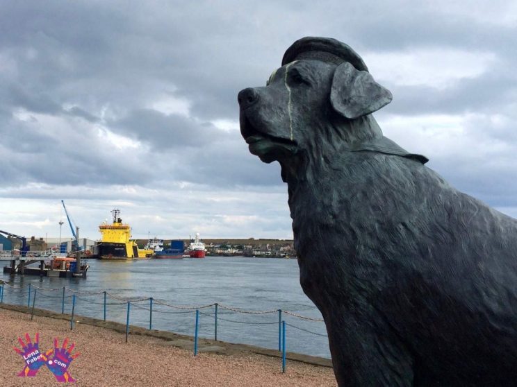 Cycling from Dundee to Stonehaven. Bamse