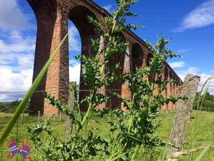 Culloden Viaduct. Nairn and Forres